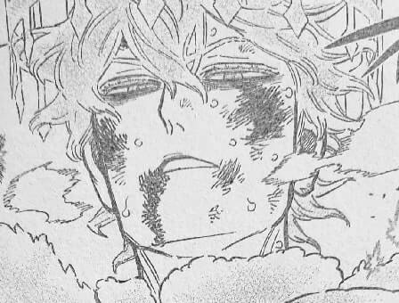 Black Clover Chapter 361 Raw Scans