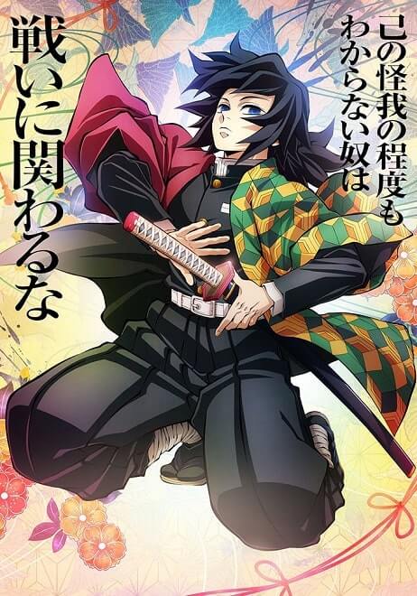 Giyu Tomioka Water Hashira Demon Slayer Season 4: Hashira Training Arc Anime