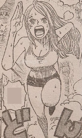 One Piece Chapter 1099 Raw Scans